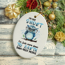 Carregar imagem no visualizador da galeria, Down to Earth Owl Ceramic Ornament, Cute and Funny Christmas Gift