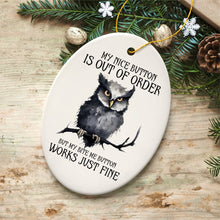 Carregar imagem no visualizador da galeria, Nice Button Out of Order Quirky Owl Ornament, Cute and Funny Christmas Gift