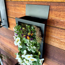 Load image into Gallery viewer, Black Framed Living Wall Planter