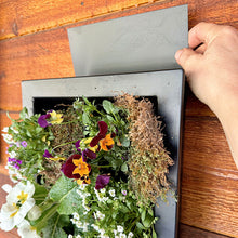 Load image into Gallery viewer, Black Framed Living Wall Planter