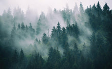 Carregar imagem no visualizador da galeria, Foggy Forest Mountain Wallpaper Mural. #FT-19-VE90