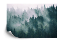 Carregar imagem no visualizador da galeria, Foggy Forest Mountain Wallpaper Mural. #FT-19-VE90