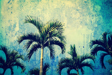 Carregar imagem no visualizador da galeria, Urban Jungle Tropical Tree Wallpaper Mural. Grunge Decor. #FT-3590