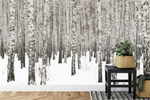Carregar imagem no visualizador da galeria, White Birch Tree Forest Wallpaper Mural. IQ-1236