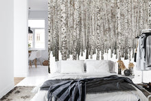 Carregar imagem no visualizador da galeria, White Birch Tree Forest Wallpaper Mural. IQ-1236