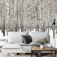 Carregar imagem no visualizador da galeria, White Birch Tree Forest Wallpaper Mural. IQ-1236