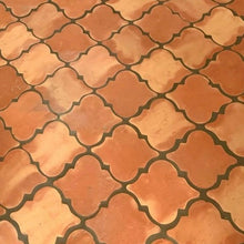 Carregar imagem no visualizador da galeria, Fleur De Lis Saltillo Tile
