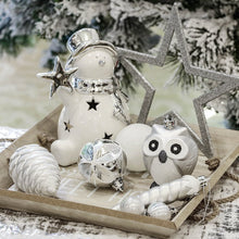 Carregar imagem no visualizador da galeria, Winter Woodlands Large White and Silver Ornament Set of 90, Glittery Snow Owls, Cones, Snowflakes, and Stalactites