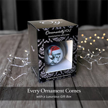 Carregar imagem no visualizador da galeria, Frankenstein's Bride Christmas Spooky Portrait Glass Ornament, Black Horror Halloween Tree Decoration