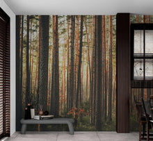 Load image into Gallery viewer, Forest Wallpaper Mural. Woodland Country Theme / Farmhouse Wall Decor. #6777