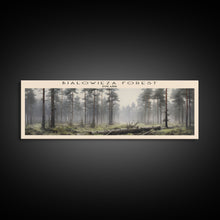 Load image into Gallery viewer, Bialowieza Forest Travel Poster Print, Framed Canvas Wall Art, Metal Wall Art, COUNTRY art, Gift For Him, Travel Wall Art, Travel Lover Gift