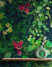 Carregar imagem no visualizador da galeria, Greenery Jungle Bush Wallpaper Mural. Tropical Leaves / Fern Wallpaper. #6765