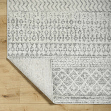Load image into Gallery viewer, Constantin Gray Area Rug