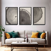 Load image into Gallery viewer, Boho Framed Canvas Wall Art Set, Wood Tree Rings Abstract Illustrations Prints Modern Art, Minimalist Neutral Boho Decor, Charcoal Sketch