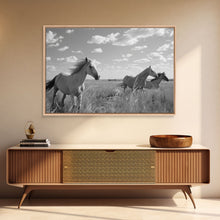 Carregar imagem no visualizador da galeria, Fine Art Framed Canvas Print, Metal Art, Black & White Photo of Wild Mustangs, Horse Art, American Horses Landscape / Nature / Wildlife Art