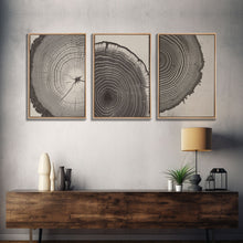 Load image into Gallery viewer, Boho Framed Canvas Wall Art Set, Wood Tree Rings Abstract Illustrations Prints Modern Art, Minimalist Neutral Boho Decor, Charcoal Sketch