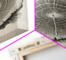 Carregar imagem no visualizador da galeria, Framed Canvas Print Wall Art, Grunge Forest Tree Rings, Abstract Illustrations, Modern Art, Nordic Decor for Bedroom, Tree Cross Section