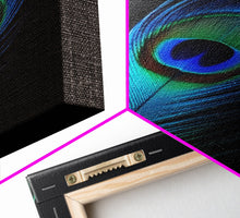 Carregar imagem no visualizador da galeria, A Lone Peacock Feather, Framed Canvas Print, Feather Photography, Beautiful & Colorful Peacock Art