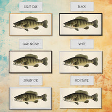 Carregar imagem no visualizador da galeria, Bass Fish Wall Decor, Animal Wall Art, Nature Wall Art, Minimalist Art, Panoramic Wall Decor, Canvas Print, Wall Art, Framed Canvas Art