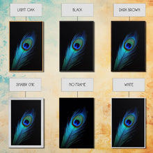 Carregar imagem no visualizador da galeria, A Lone Peacock Feather, Framed Canvas Print, Feather Photography, Beautiful & Colorful Peacock Art