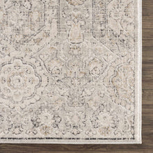 Load image into Gallery viewer, Parkerfield Area Rug