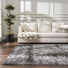 Load image into Gallery viewer, Georgiana Charcoal Area Rug