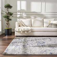 Carregar imagem no visualizador da galeria, Georgiana Blue & Beige Oushak Rug