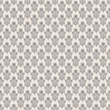 Carregar imagem no visualizador da galeria, Jones Wallpaper by Taddy Mikelaites