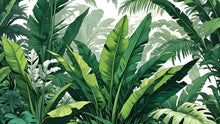 Carregar imagem no visualizador da galeria, Rainforest Jungle Wallpaper. Banana Leaf Wall Mural. #6788