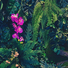 Carregar imagem no visualizador da galeria, Jungle Wallpaper, Forest Greenery Botanical Wall Mural. #6741