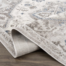 Load image into Gallery viewer, Bakir Area Rug