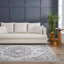 Load image into Gallery viewer, Bakir Area Rug