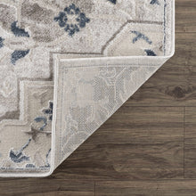Carregar imagem no visualizador da galeria, Calum Blue & Gray Area Rug - Clearance