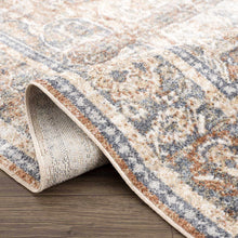 Load image into Gallery viewer, Arias Blue Boutique Washable Rug