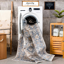Carregar imagem no visualizador da galeria, Ezri Flat Pile Washable Rug