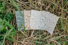 Carregar imagem no visualizador da galeria, Prairie Wallpaper by Cassandra Zaniboni