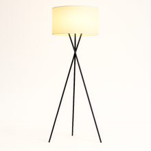 Carregar imagem no visualizador da galeria, Leora Floor Lamp
