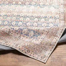 Load image into Gallery viewer, Maligaya Distressed Washable Rug - Clearance