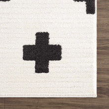 Load image into Gallery viewer, Erath Area Rug