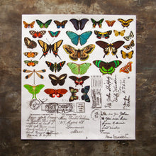 Carregar imagem no visualizador da galeria, Butterflies - Color Transfer - 24” x 22”