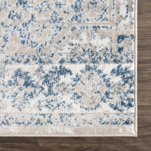 Load image into Gallery viewer, Amir Area Rug - Clearance