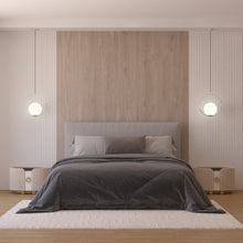 Load image into Gallery viewer, Modern Globe Pendant Light