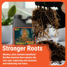 Load image into Gallery viewer, Monkey Juice | Increases Root Health and Nutrient Absorption