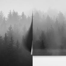 Carregar imagem no visualizador da galeria, Black and White Misty Pine Forest Wallpaper. #6673