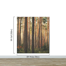 Load image into Gallery viewer, Forest Wallpaper Mural. Woodland Country Theme / Farmhouse Wall Decor. #6777