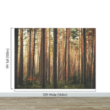 Load image into Gallery viewer, Forest Wallpaper Mural. Woodland Country Theme / Farmhouse Wall Decor. #6777