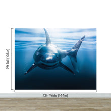 Carregar imagem no visualizador da galeria, Great White Shark Wall Mural. Peel and Stick Wallpaper. #6700