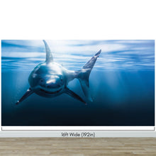 Carregar imagem no visualizador da galeria, Great White Shark Wall Mural. Peel and Stick Wallpaper. #6700