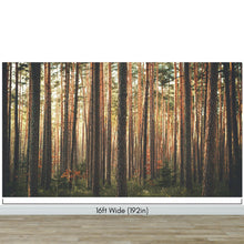 Load image into Gallery viewer, Forest Wallpaper Mural. Woodland Country Theme / Farmhouse Wall Decor. #6777