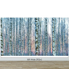 Carregar imagem no visualizador da galeria, White Birch Tree Forest Wall Mural Wallpaper. Sunset Scenery. #6246